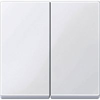 Лицевая панель Schneider Electric Merten System M для 2-кл. выключателя активно-белый картинка